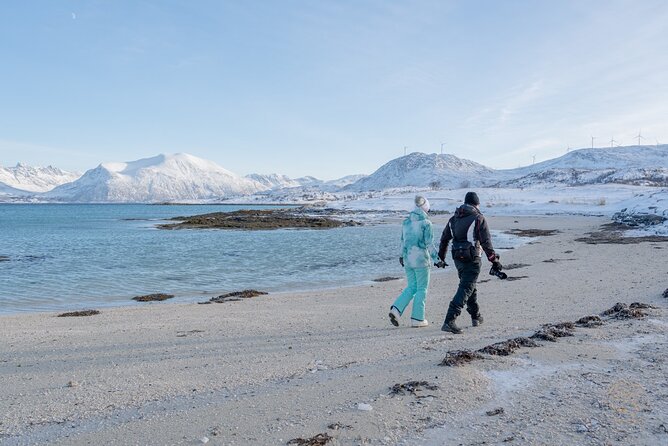 Private Arctic Fjord Roadtrip with Scenic Picnic from Tromso - Private transport and hotel pickup