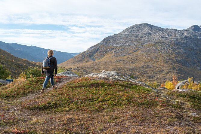 Private Arctic Fjord Roadtrip with Scenic Picnic from Tromso - Kvaløya brings mountains, fjords, and Arctic beaches