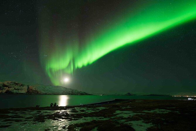 Private Aurora Hunting with Professional Photographer from Alta - Making a bonfire in the Arctic cold