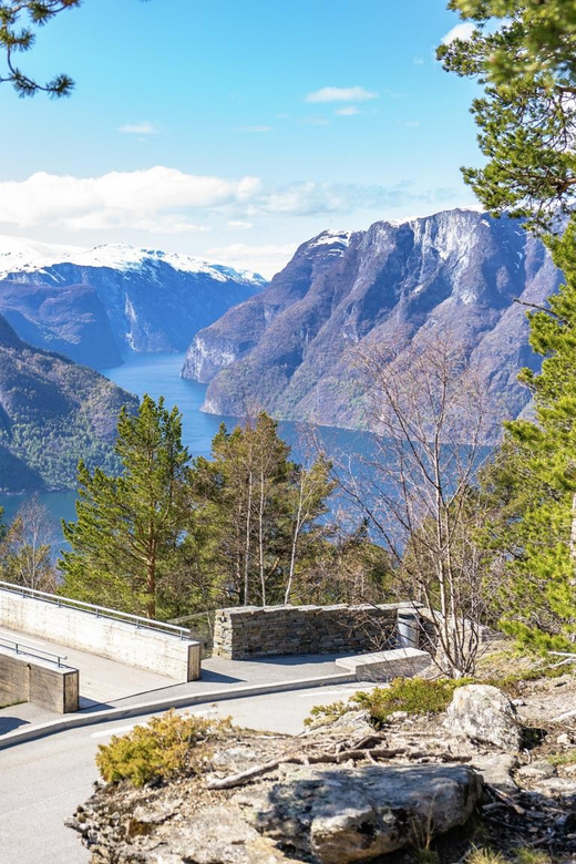 Private Day Tour- Flam Railway & Fjord Cruise From Bergen - Cruising the Nærøyfjord toward Gudvangen