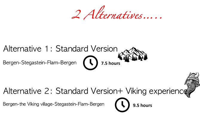 Private Day Tour to Flam and Stegastein - The Bergen to Flåm drive takes patience