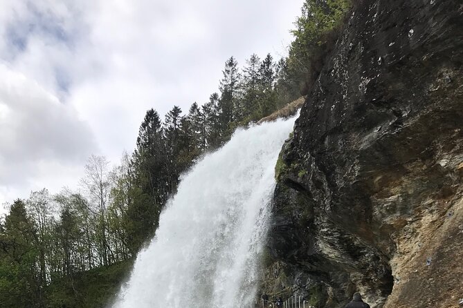 Private Full Day Hardangerfjord Tour From Bergen - Norsk Natursenter turns scenery into understanding
