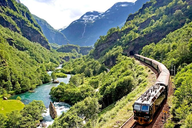 Private Full-Day Round Trip from Oslo to Sognefjord via Flåm Railway - Guides make or break the long road sections