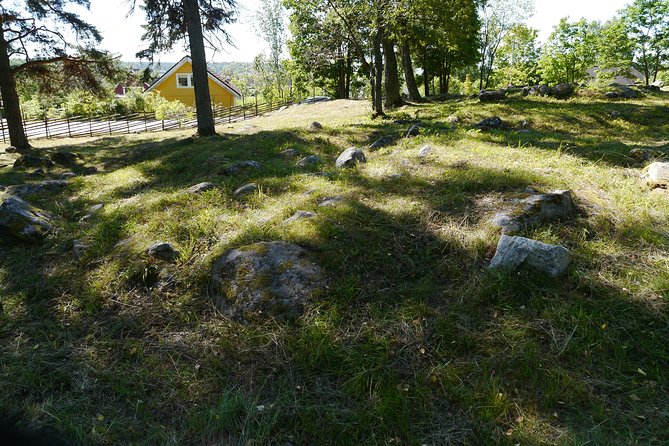Private Full Day Viking History Tour from Stockholm Including Sigtuna and Uppsala - Uppsala Cathedral and the medieval city