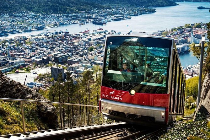 Private Guided City Sightseeing - Bergens Top Attractions - Why this private Bergen tour works well