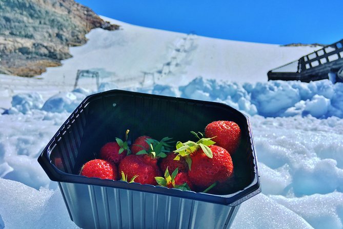 PRIVATE GUIDED TOUR: Folgefonna Glacier roundtrip from Bergen, 8 hours - Who should book this Bergen glacier trip?