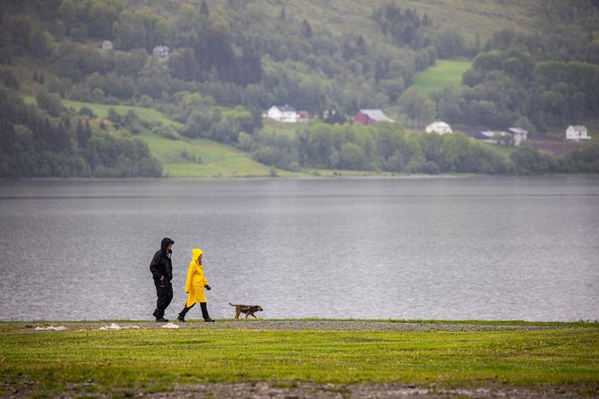PRIVATE GUIDED TOUR: Norway's Highlights–Viking Special, 11 h - Why this private Bergen tour covers so much