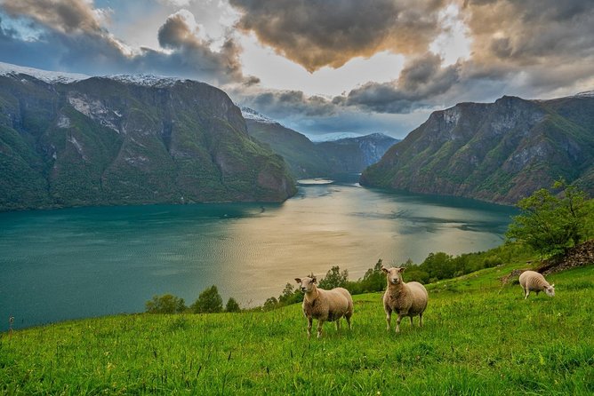 PRIVATE GUIDED TOUR: Norway's Highlights–Viking Special, 11 h - Leaving Bergen for Voss