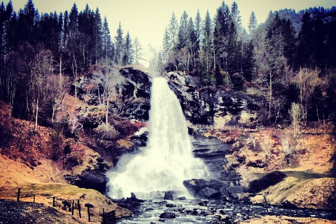 PRIVATE GUIDED TOUR: Queen of the Fjords - tour from Bergen, 6 hours - Hardangerfjord, fruit farms, and Vangdal’s old carvings