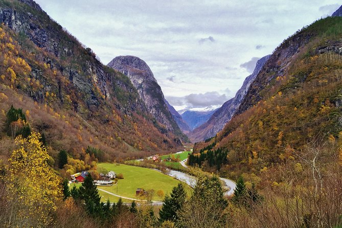 PRIVATE GUIDED TOUR: World Heritage Fjord Landscape – Viking Special – from Flåm - Is $675.68 per person good value?