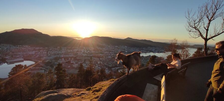 Private hiking tour Bergen mountains like a local - Choosing between a gentle trail and a rougher climb