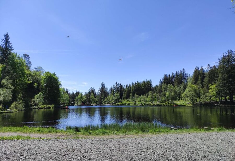 Private hiking tour Bergen mountains like a local - The lake and mountain cabin