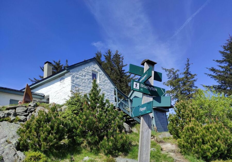 Private hiking tour Bergen mountains like a local - What three hours really gives you
