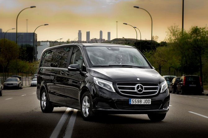 Private Luxury Van Departure from Copenhagen to Copenhagen Port - Leaving central Copenhagen without the taxi hunt
