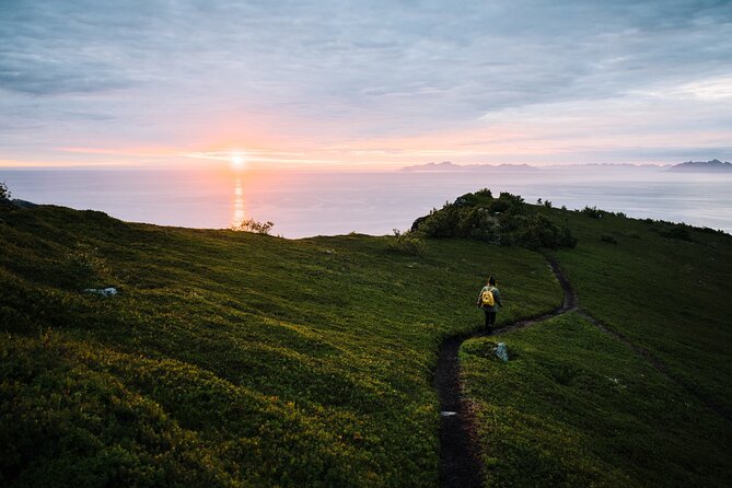 Private Midnight Tour To Gimsøya - Key points to know before you go