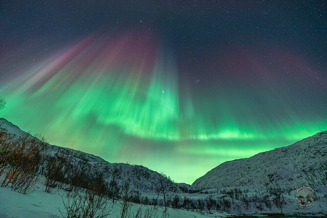 Private Northern Lights Chase with Photography from Tromsø - The price: costly for two, more sensible for eight