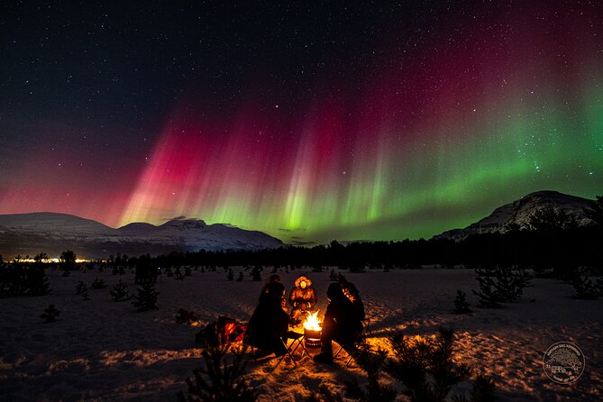 Private Northern Lights Chase with Photography from Tromsø - Who will enjoy this Tromsø experience most