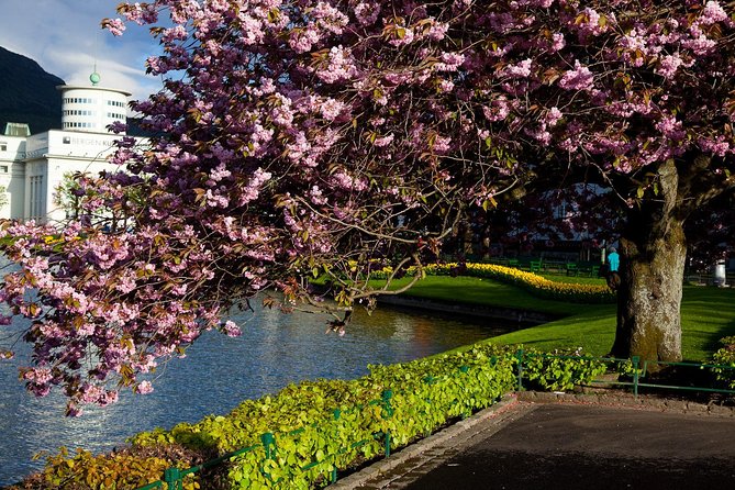 PRIVATE TOUR: Bergen city sightseeing, 3 hours - Gamle Bergen Museum, a town inside a town