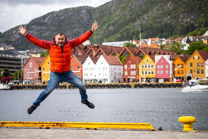 PRIVATE TOUR: Bergen city sightseeing, 4 hours - Bergen’s historic center by van and on foot