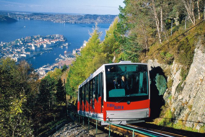 PRIVATE TOUR: Bergen city sightseeing, 5 hours - What the private vehicle adds