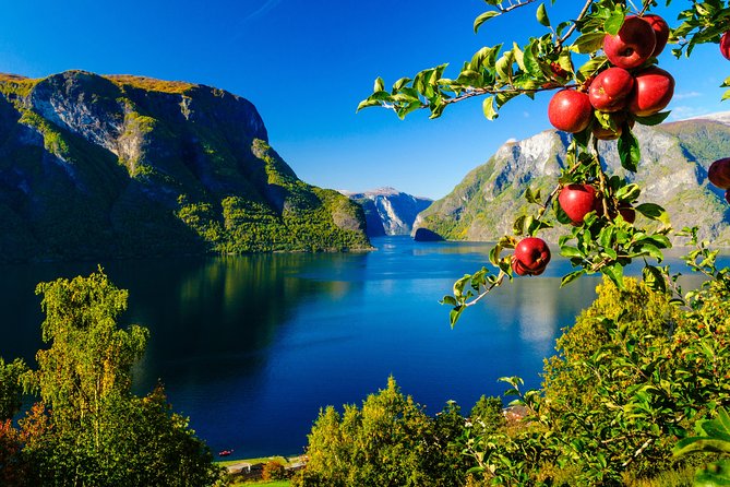 Private tour, Bergen to Oslo - Nærøyfjord Cruise & Flåm Railway - What the private guide adds