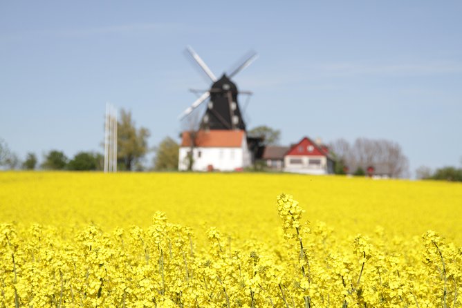 Private tour Copenhagen to Lund & Malmö City daytrip - Comfort, walking, and group size