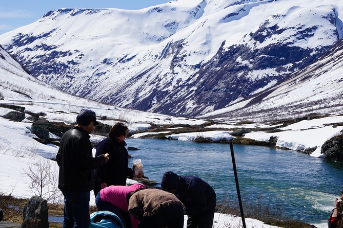 Private tour Geiranger and Glaciers 1 to 15 people - A full day from the Eidsdal ferry to the high fjords