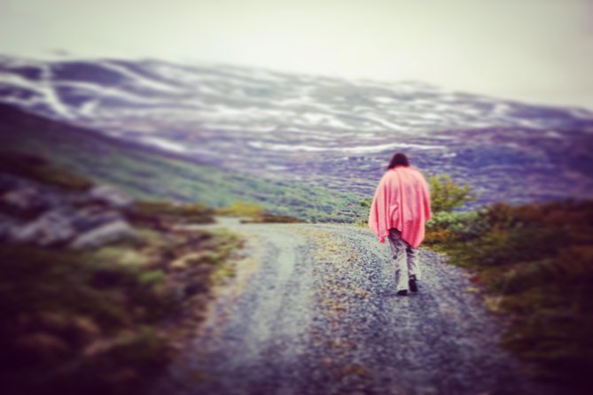 Private tour Geiranger and Glaciers 1 to 15 people - The Old Strynefjell Road adds a quieter side of Norway