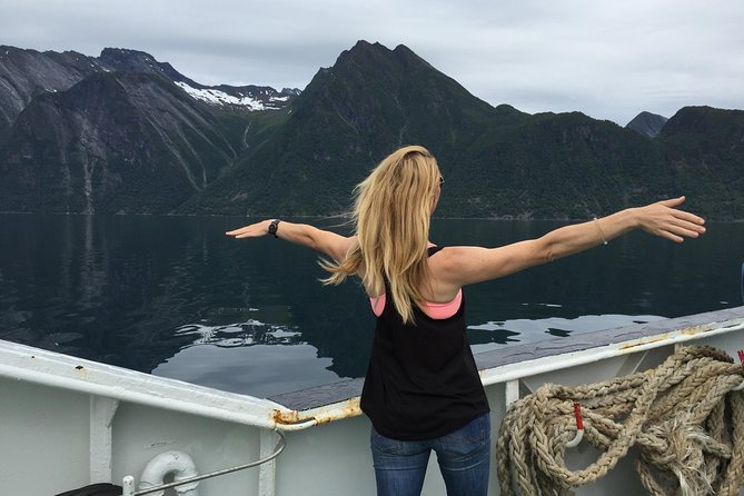 Private tour Geiranger and Glaciers 1 to 15 people - What is included, and why it changes the value