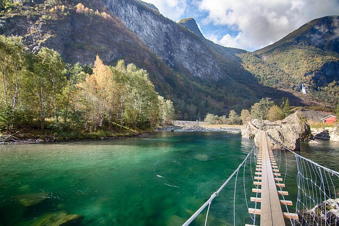 Private tour to Sognefjord and Flåm from Bergen, 24 hr refundable - Choosing the Gudvangen to Flåm cruise