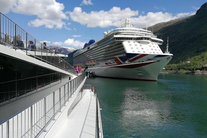 Private tour - Viking Village, Nærøyfjord Cruise and Flåm Railway - The Nærøyfjord cruise is the visual centerpiece