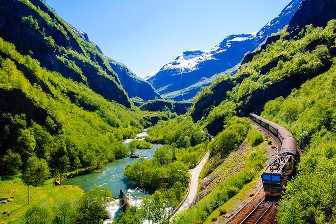Private tour - Viking Village, Nærøyfjord Cruise and Flåm Railway - Myrdal to Voss completes the rail journey