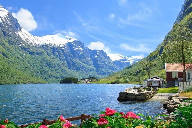 Private tour - Viking Village, Nærøyfjord Cruise and Flåm Railway - What the private format adds