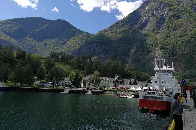 Private tour - Viking Village, Nærøyfjord Cruise and Flåm Railway - Is the $1,003.17 price good value?