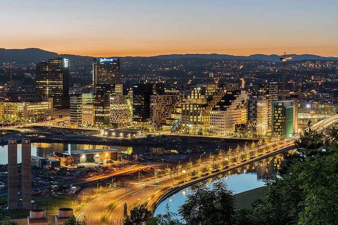 Private Transfer from Oslo City Centre to Oslo Airport - Who should book this transfer