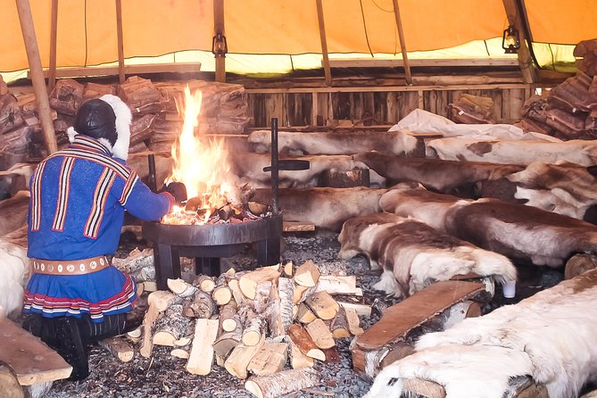 Reindeer Feeding and Sami Culture Including Lunch from Tromso - Winter timing and the polar night