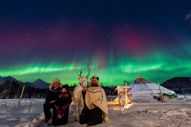 Reindeer Feeding and Sledding, Sami Storytelling Night Tour - A short ride on a reindeer sled