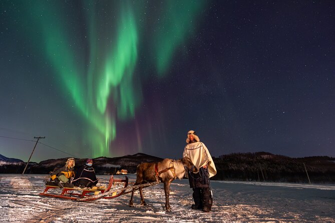 Reindeer Feeding and Sledding, Sami Storytelling Night Tour - The Northern Lights question