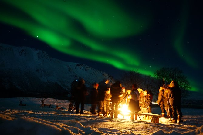 Reindeer feeding & Saami Culture with chance for Northern Lights - The bus ride from Tromsø