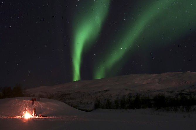 Reindeer feeding & Saami Culture with chance for Northern Lights - How authentic does the experience feel?