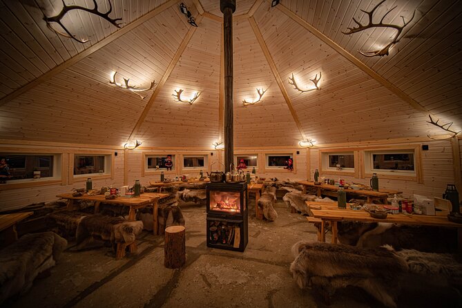 Reindeer Sledding and Feeding with Chance of Northern Lights Tromso - Who should book this Tromsø experience?