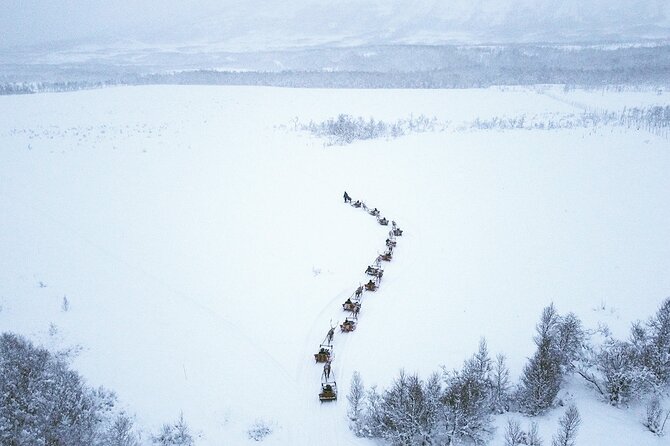 Reindeer Sledding and Feeding with Sami Culture in Tromso. - Leaving Tromsø for Tromsø Lapland