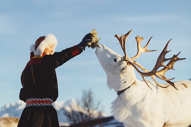 Reindeer Sledding and Feeding with Sami Culture in Tromso. - What the price means at $237