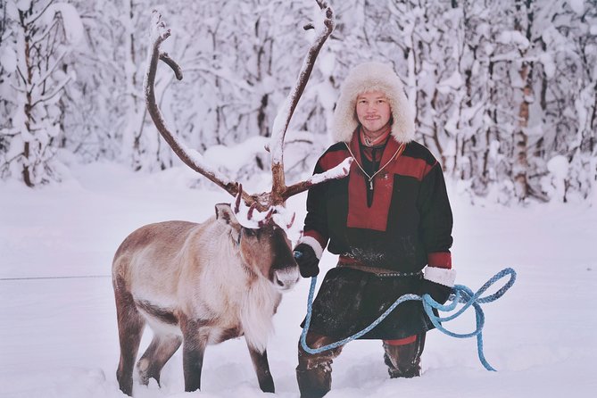 Reindeer Sledding and Feeding with Sami Culture in Tromso. - Cancellation and weather rules