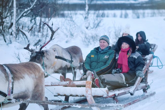 Reindeer Sledding and Feeding with Sami Culture in Tromso. - A Sámi cultural presentation with real value