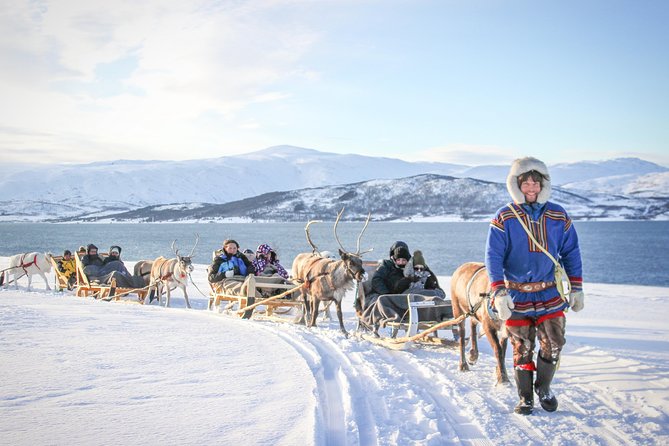 Reindeer Sledding Experience and Sami Culture Tour from Tromso - Key points to know before you book