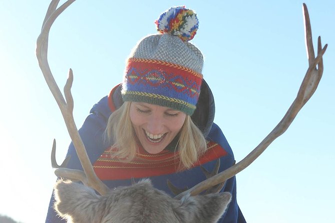 Reindeer Sledding Experience and Sami Culture Tour from Tromso - How much value do you get for $225.64?