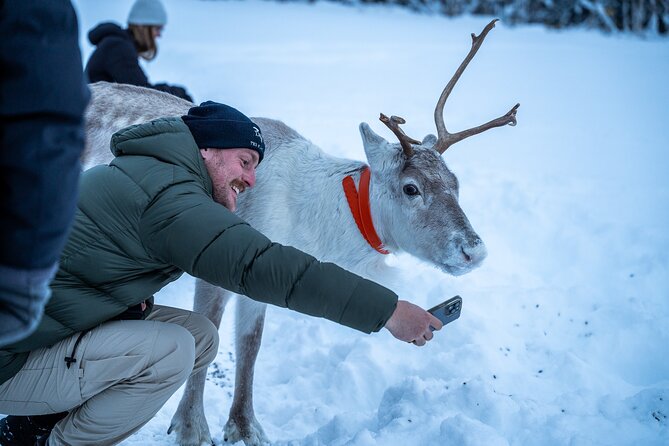 Reindeer Sledding, Feeding And Sami Culture At Reindeer Farm - Warm clothing, transport, and group size