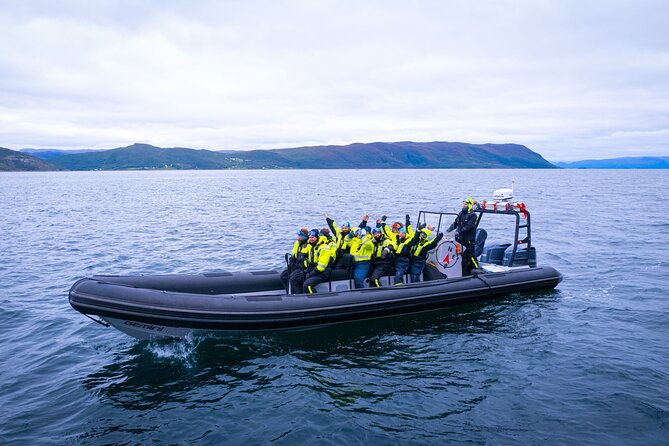 RIB Expedition to Seiland National Park - 3.5h - Wildlife along the fjord