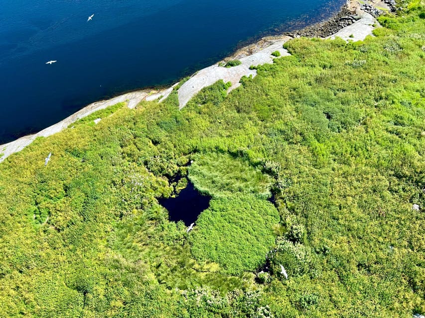 Saltstraumen: Arctic Adventure and Scenic Journey - Walking beside the water at Saltstraumen